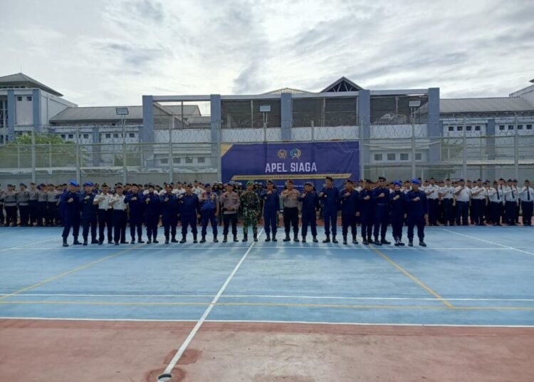 WhatsApp Image 2026 02 12 at 08.42.32