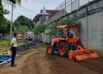 WhatsApp Image 2026 02 12 at 11.34.12