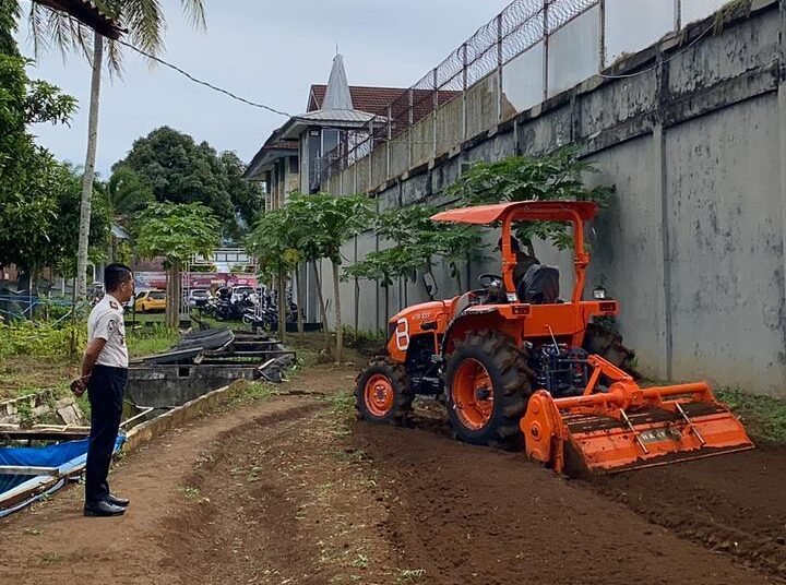 WhatsApp Image 2026 02 12 at 11.34.12