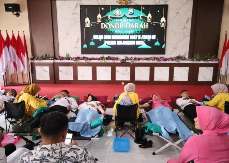 WhatsApp Image 2026 02 12 at 12.20.59 1