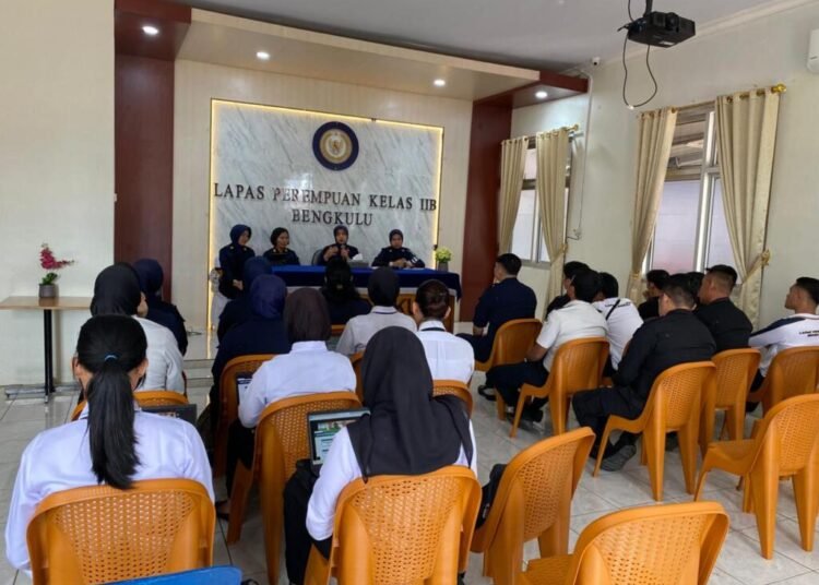 WhatsApp Image 2026 02 12 at 13.50.01