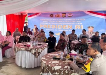 WhatsApp Image 2026 02 13 at 12.38.29 1