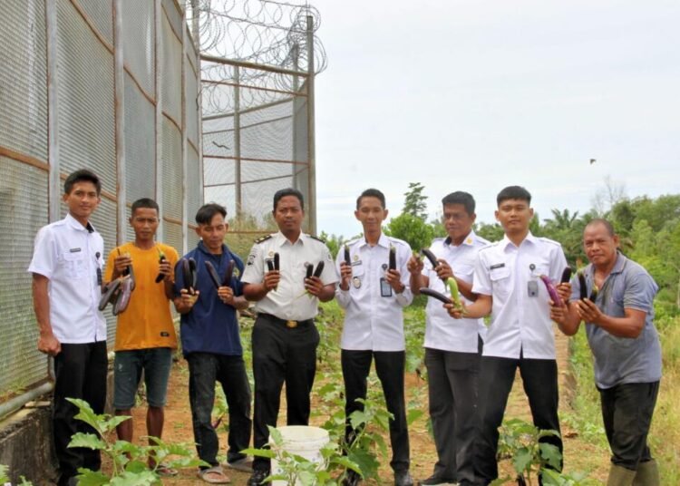 Berkah Ramadan, Lapas Bengkulu Panen Terong Bersama Warga Binaan 1 Panen terong oleh warga binaan Lapas Kelas IIA Bengkulu menjadi berkah awal Ramadan sekaligus wujud pembinaan kemandirian dan ketahanan pangan. Doc. Humas Lapas Bengkulu