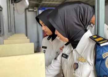 WhatsApp Image 2026 02 24 at 09.04.46