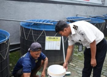 Cetak Benih Berkualitas, Lapas Mojokerto Intensifkan Penyortiran Benih Lele 1 WhatsApp Image 2026 02 24 at 09.35.20