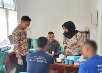 38ddfbf5 3cdb 4550 be02 2af0a81fd7e6