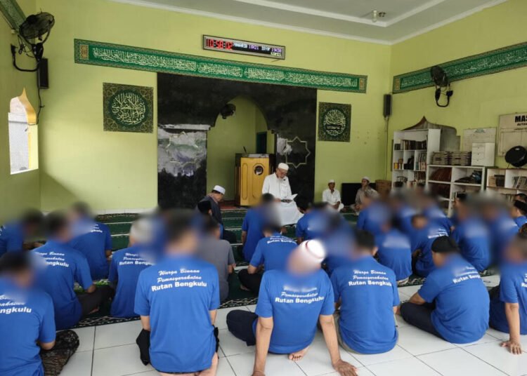 54b56e19 203d 47b7 9894 011bd4729e8d