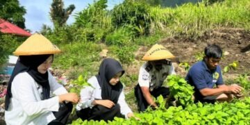 IMG 20260302 WA0035