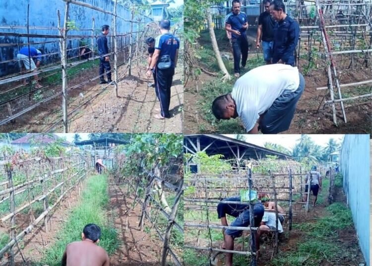 Krisis Air Mulai Terasa, Karutan Manna Cek Langsung Kondisi Lahan Pangan 1 IMG 8094