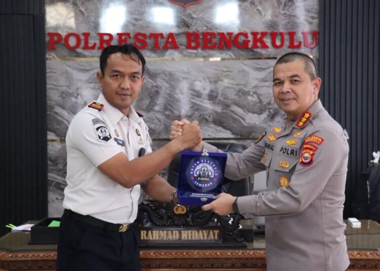 WhatsApp Image 2026 03 02 at 14.15.46 1