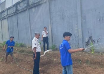 WhatsApp Image 2026 03 03 at 09.54.09