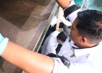 WhatsApp Image 2026 03 04 at 13.54.08