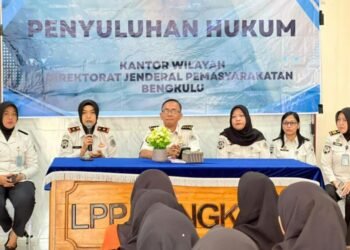 WhatsApp Image 2026 03 10 at 11.40.14