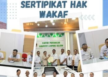 WhatsApp Image 2026 03 11 at 11.06.02 3