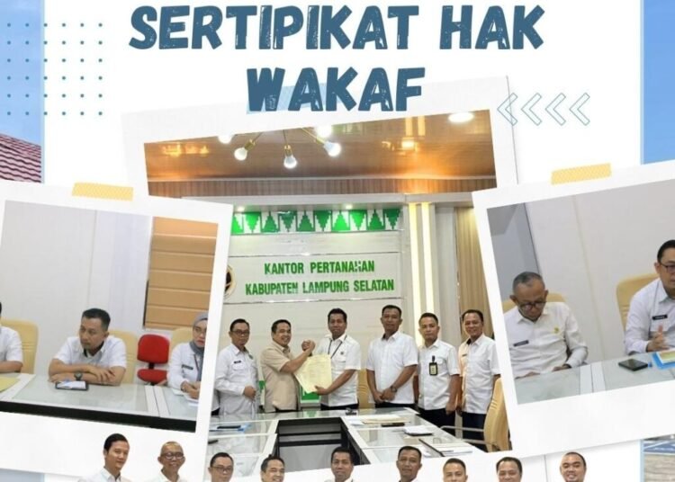 WhatsApp Image 2026 03 11 at 11.06.02 3