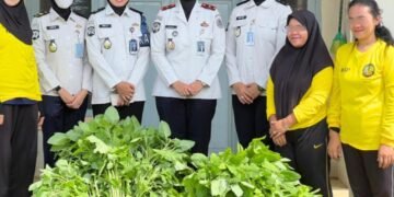 WhatsApp Image 2026 03 11 at 11.31.56