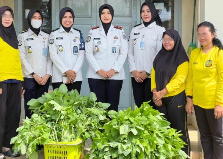 WhatsApp Image 2026 03 11 at 11.31.56