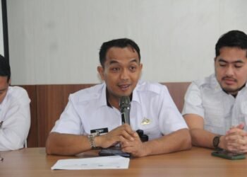 WhatsApp Image 2026 03 11 at 11.58.41