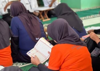 WhatsApp Image 2026 03 12 at 11.12.10