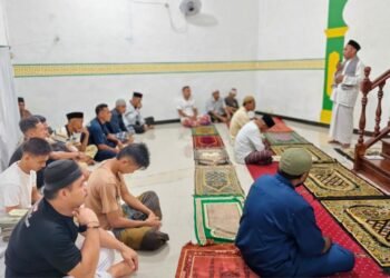 WhatsApp Image 2026 03 14 at 17.23.161