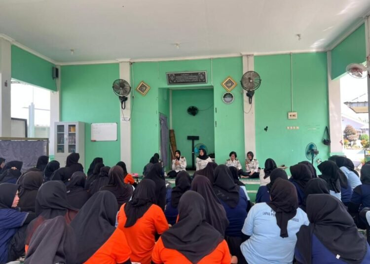 WhatsApp Image 2026 03 16 at 13.10.37