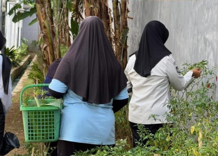 WhatsApp Image 2026 03 19 at 16.31.40