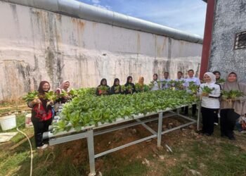 WhatsApp Image 2026 03 25 at 10.11.19 1