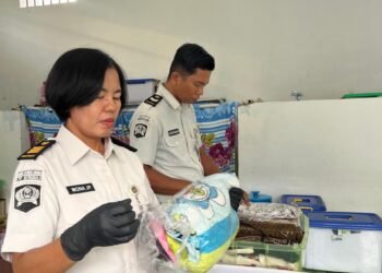 WhatsApp Image 2026 03 25 at 10.12.02