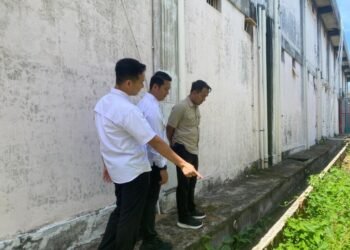 WhatsApp Image 2026 03 25 at 12.39.57