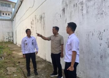 WhatsApp Image 2026 03 25 at 12.39.58 1