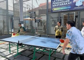 WhatsApp Image 2026 03 28 at 12.28.41 4