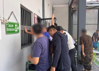 10edf4e7 022b 4994 a12b 5f38f48b36c1