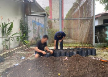 115400d4 548e 4154 9070 49411c48f542