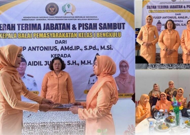 Desain tanpa judul 7