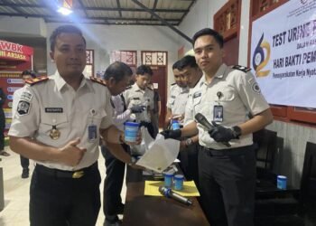 IMG 6346 1 2 optimized 1000