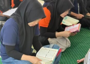 WhatsApp Image 2026 04 01 at 13.28.28