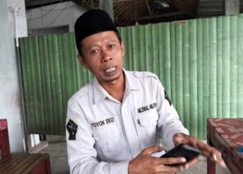 WhatsApp Image 2026 04 01 at 14.42.28