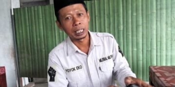 WhatsApp Image 2026 04 01 at 14.42.28