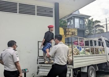 WhatsApp Image 2026 04 04 at 11.32.40