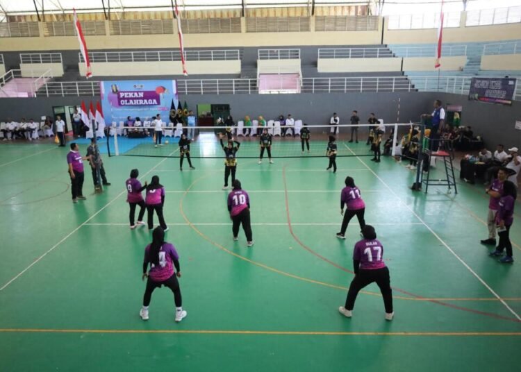 WhatsApp Image 2026 04 05 at 17.29.53