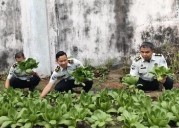 WhatsApp Image 2026 04 06 at 14.59.51