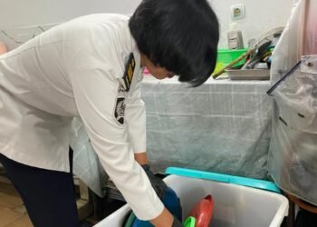 WhatsApp Image 2026 04 06 at 15.42.10