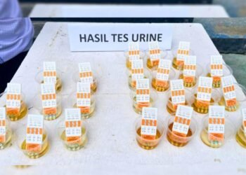 WhatsApp Image 2026 04 06 at 20.31.331