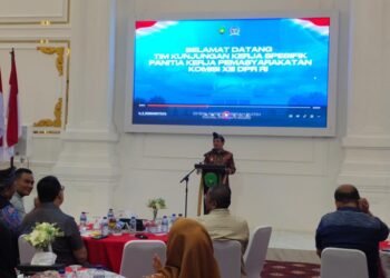 WhatsApp Image 2026 04 09 at 20.37.23