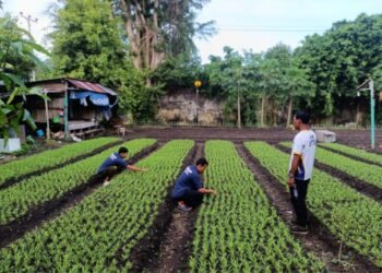 WhatsApp Image 2026 04 11 at 18.53.520