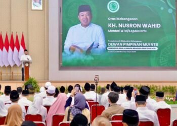 WhatsApp Image 2026 04 11 at 19.46.30