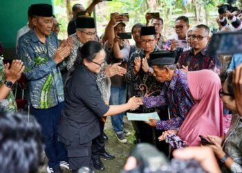 WhatsApp Image 2026 04 12 at 18.15.32