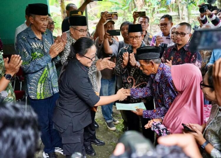 WhatsApp Image 2026 04 12 at 18.15.32