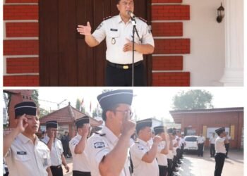 WhatsApp Image 2026 04 13 at 08.31.22