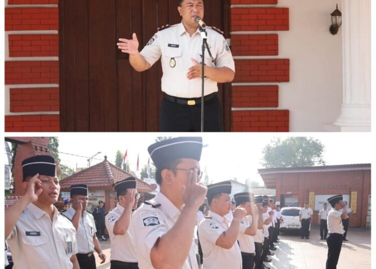 WhatsApp Image 2026 04 13 at 08.31.22